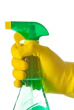 Putting the basics first! A discreet service for all of your pest control and cleaning needs.